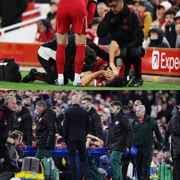 回声报：莱奥尼缺阵时间将以数月计算，医疗组担心情况严重